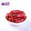 2015 Crop Dried Hot bullet Chili Pepper