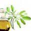 GMP Approved Natural moringa oil