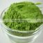 100% Natural Wheat Juice Green Powder in Bulk