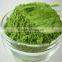 2016 Hot Sale High Quality Wheat Grass Powder in Bulk