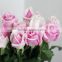Different types of cut flowers rose directly order from China