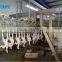 Baiyun Selling poultry Slaughtering Equipment