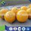 Marine EVA foam buoys with standard absortion and reaction force