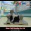 cnc CPC linear motion guide rod rail bearing