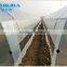 PE film greenhouse