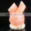 Fancy Salt Lamp/Salt Crafts Pakistan/Natural Salt/Flower Salt Lamps