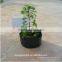 High Quality Environmental Wholesale Fabric Vegetable Planter Bags
