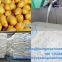 Potato starch processing machine