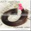 Best price perfect extenion high quality double down fumi hair virgin brazilian human hair extensions