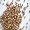 High quality Walnut shell sand / crushed walnut shell 10# 20# in abrasive