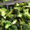 Frozen Broccoli