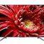 Оптовая продажа оригинальной 4K-телевизора SO NY x8500g KD 85
