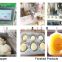 2019 Automatic Encrusting Food Machine Filled Colorful Mochi Maker from Shanghai