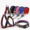 Amazon Hot Sale 3 in 1 Set Cowboy Pet Collar & Harness & Leashes