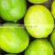 Organic Green Fresh Lemon Exported