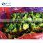 Sinocharm Broccoli congele 3-5cm IQF Brocoli congelado surgelati 2-4cm Frozen Broccoli
