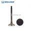 High Wear Resistance Auto Engine Parts Qd32 Engine Valve