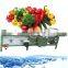 Automatic cheap  fruit apple pear orange mango and vegetable washing cleaning machine