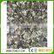 high quality Baltic Green SG, imported green granite
