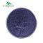 ISO Certificated Factory Supply Butterfly Pea Flower Powder Free Sample Food Grade Natural Color Butterfly Pea Tea Powder