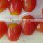 canned whole peeled tomatoes