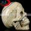 Natural Pretty Energy Crystal Skulls Wholesale