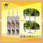 Shop Display Acetic Silicone Sealant