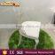 Italian Modern Designer Acrylic Banquet Furniture Dining Chair