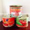 70g~3000g high quality canned tomato paste, tomato sauce
