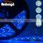 12V 5M 5050 SMD Waterproof Flexible 60led/m Blue LED Strip Light