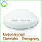 led motion sensor ceiling light