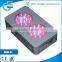 EverGrow professional LED grow lights NOVA series S2 indoor lights