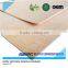 insole board and paper insole board are used shoes