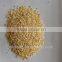 Factory price wholesale dried garlic granule with root