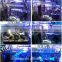 High quality low price AQL-2X-84W led aquarium light with Long lifespan, chinese led aquarium light,intelligent led aquarium lig