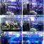 2015 hot promotion 84W led aquarium Light colorful decorative light and led saltwater aquarium lighting
