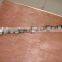 3966431 Dongfeng engine spare parts camshaft