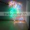 unique outdoor christmas lights