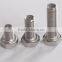 china supplier pure GR2 titanium hexagon head bolts/screw
