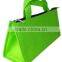 Outdoor Cooler Bag for frozen food
