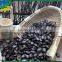 New Crop Chinese Black Watermelon Seed