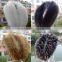 warmly and softly fox fur triming/smart fox fur