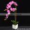 high quality artificial flower butterfly orchid bonsai wholesale