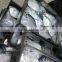 Frozen Whole Round Moon Fish, Frozen Fishes, Best Quality Frozen Fishes