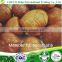 New store with cheapest ang high quality chestnut kernels delicious and tasty