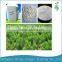 Pure Stevia Extract Powder Reb-A40%-98%