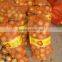 Shandong origin fresh onions for sale