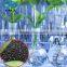Potassium Humate Organic Fertilizer From Leonardite 98% Soluble