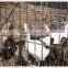Welded wire mesh panel, welded wire fence panels for sale