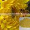 100% China HACCP Manufacturer bulk sunflowers bee pollen